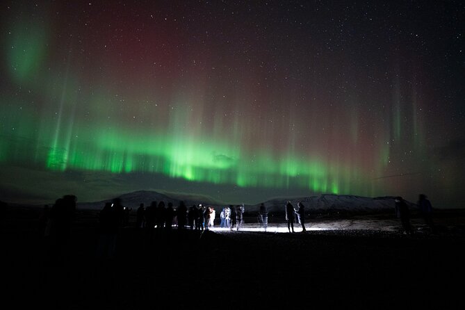 Reykjavik: Northern Lights Comfort Coach with Surprise - What happens at the viewing stops