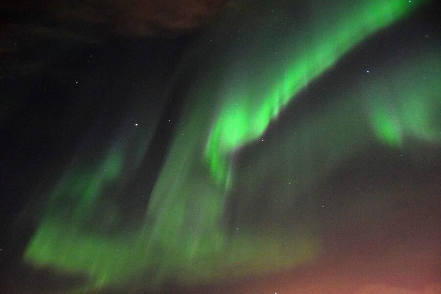 Reykjavik: Northern Lights Guided Boat Tour - Is $106 good value?