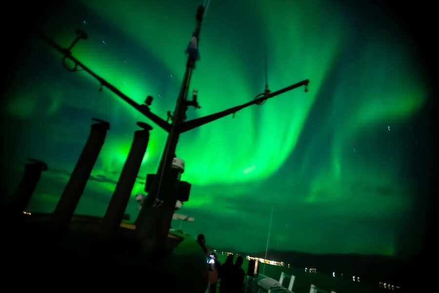 Reykjavik: Northern Lights Guided Boat Tour with Photos - What is available on board