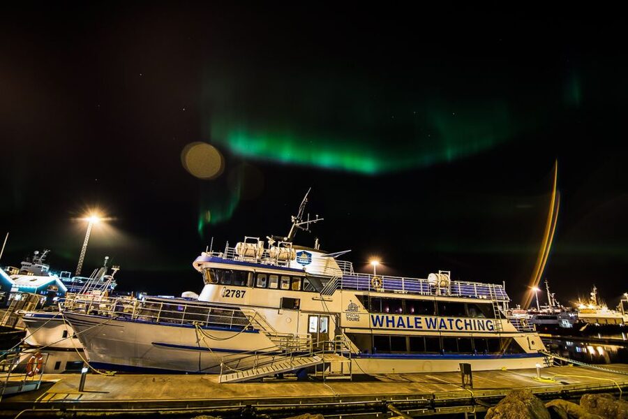 Reykjavik: Northern Lights Guided Boat Tour - What the 2.5-hour itinerary feels like