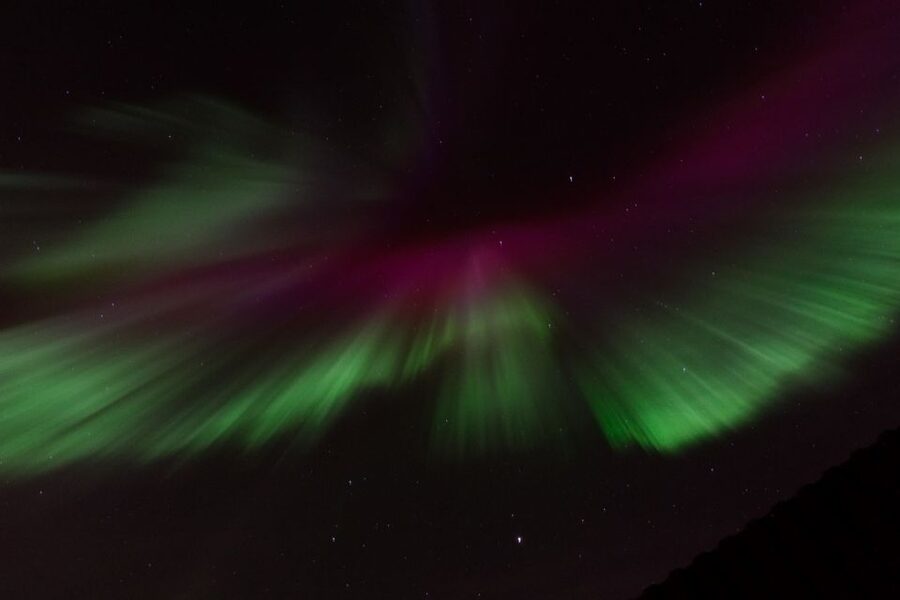 Reykjavik: Northern Lights Motor Yacht Cruise - What the guides add to the night