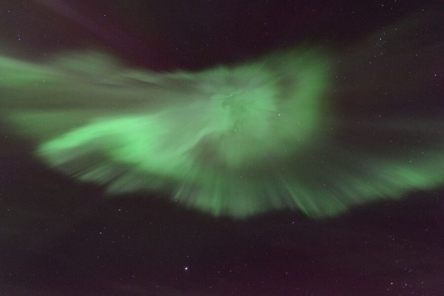 Reykjavik: Northern Lights Motor Yacht Cruise - Who will enjoy this cruise most?