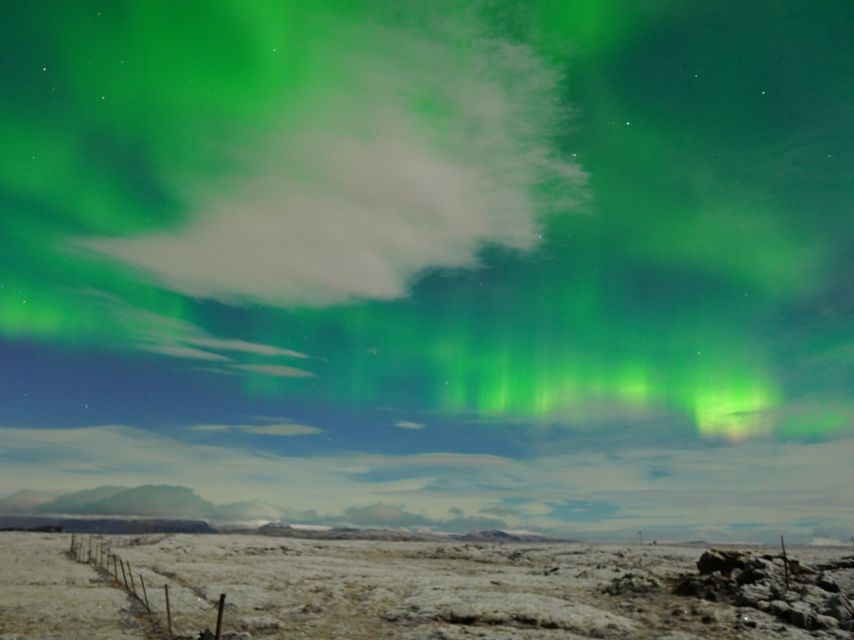Reykjavik: Northern Lights Tour w/Pro Photos - Small Group - The people behind the steering wheel