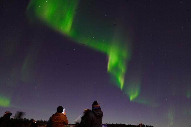 Reykjavik Northern Lights Tour with Pro Aurora Photos Small Group - How good are the chances of seeing the Northern Lights?