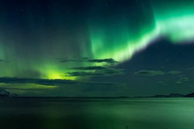 Northern Lights with Icelandic Treats