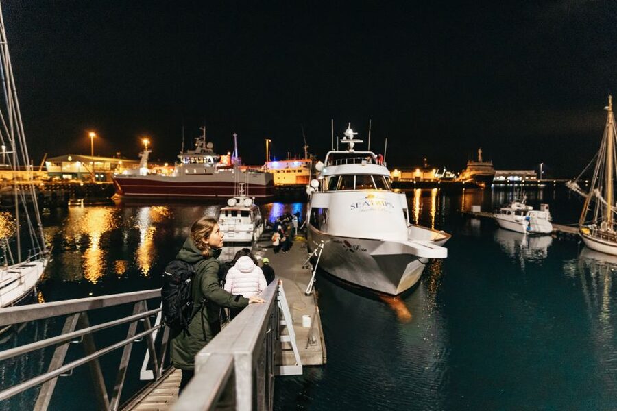 Reykjavik: Northern Lights Yacht Tour - Practical advice before you board