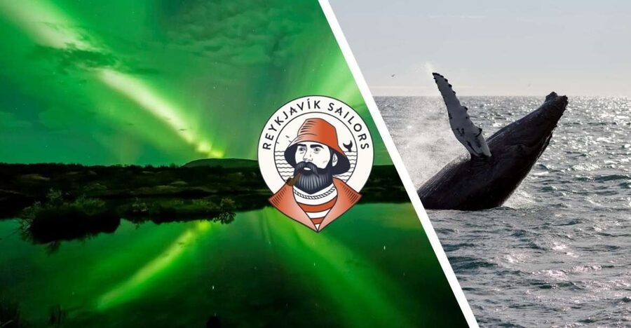 Reykjavik: Whale Watching & Northern Lights Combo Cruise - Two natural shows, one carefully packed day