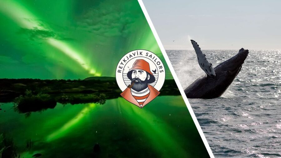 Reykjavik: Whale Watching & Northern Lights Combo Cruise - Searching Faxaflói Bay for whales