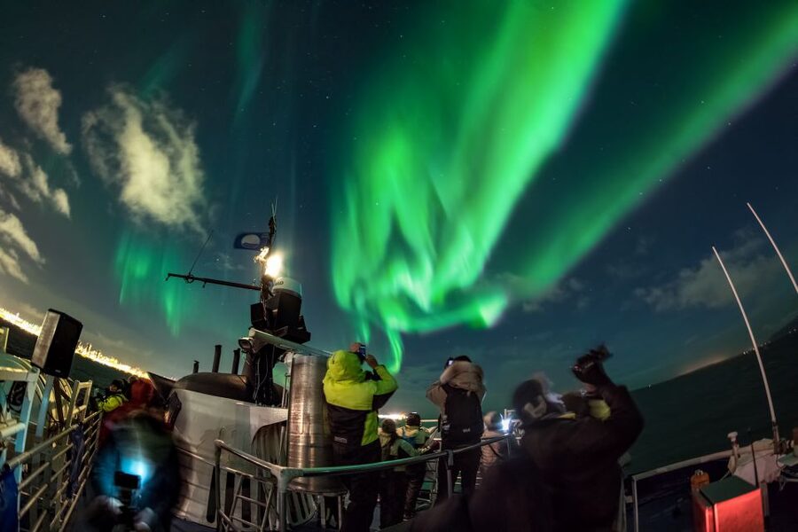 Reykjavik: Whales and Northern Lights Boat Tour - The long pause between daylight and darkness