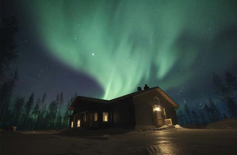 Rovaniemi: 2km Aurora Reindeer Safari Through the Forest - Key points to know before booking