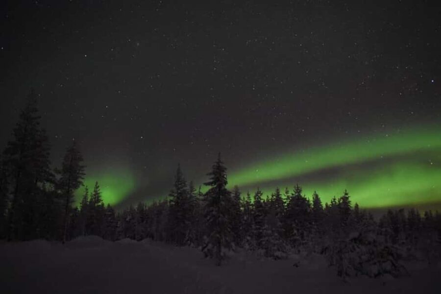 Rovaniemi: 2km Aurora Reindeer Safari Through the Forest - A slow sleigh ride through Rovaniemi’s winter forest