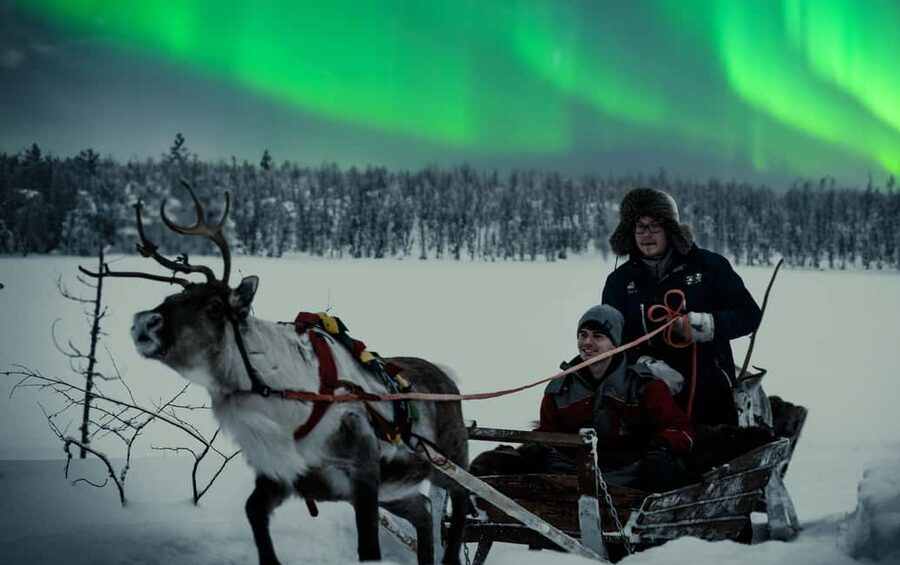 Rovaniemi: 2km Aurora Reindeer Safari Through the Forest - The Kota hut brings the evening back to earth