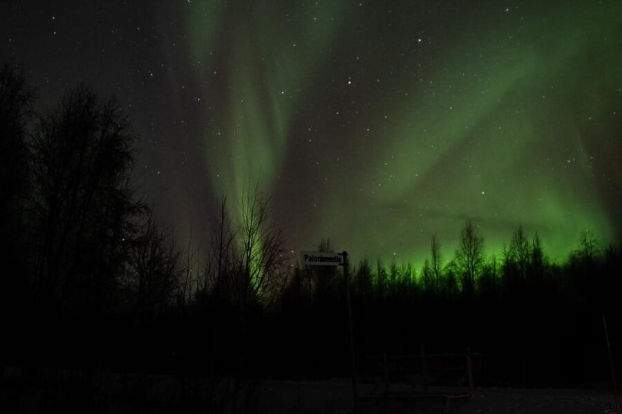 Rovaniemi: 97.3% Success Rate Aurora Group Tour with Photos - Key points to know before you book