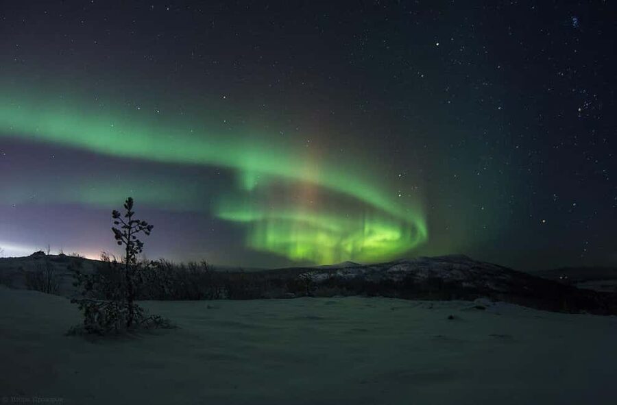 Rovaniemi: All-Inclusive Ranua Zoo Excursion & Aurora Dinner - Finnish lunch and Fazer chocolate add local flavor