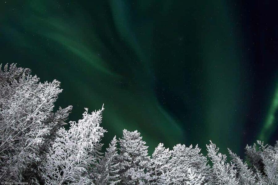 Rovaniemi: All-Inclusive Ranua Zoo Excursion & Aurora Dinner - The evening aurora hunt leaves room for changing conditions