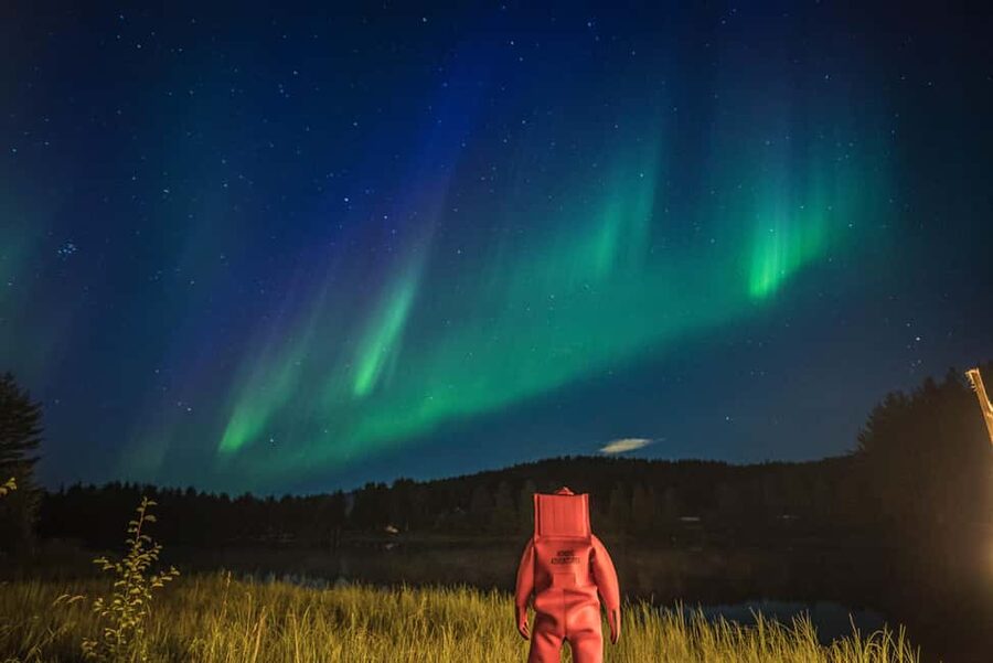 Rovaniemi: Arctic Ice Floating and Northern Lights Tour - Is $146 a fair price?
