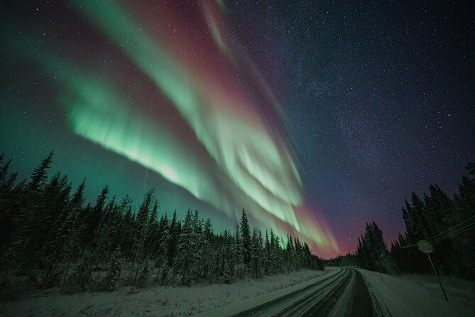 Rovaniemi: Aurora Activity Guarantee - 97% Success Rate Tour - Key points before you book