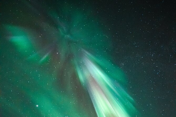 Rovaniemi: Aurora Activity Guarantee - 97% Success Rate Tour - Chasing clear skies from Rovaniemi