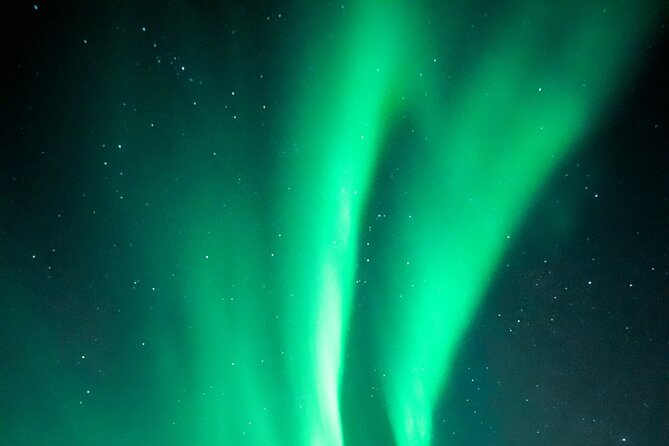 Rovaniemi: Aurora Activity Guarantee - 97% Success Rate Tour - Small minivan or large coach?
