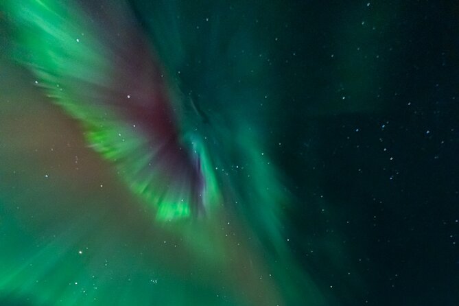Rovaniemi: Aurora Activity Guarantee - 97% Success Rate Tour - Is the 97 percent success rate worth trusting?