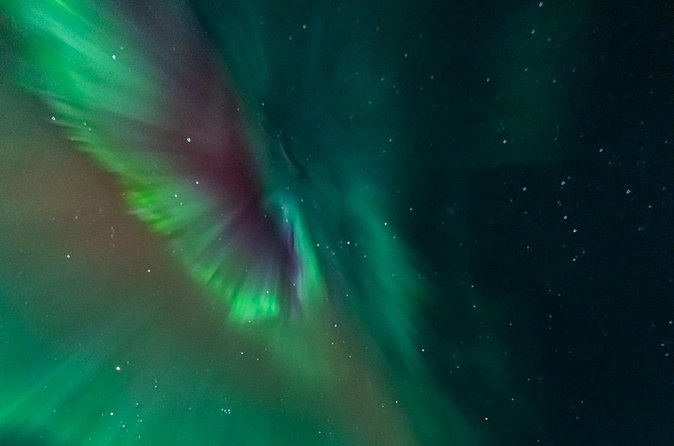 Rovaniemi: Aurora Activity Guarantee - 97% Success Rate Tour - The cost and what you receive for $93.58