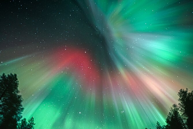Rovaniemi: Aurora Activity Guarantee - 97% Success Rate Tour - Who will enjoy this tour most?