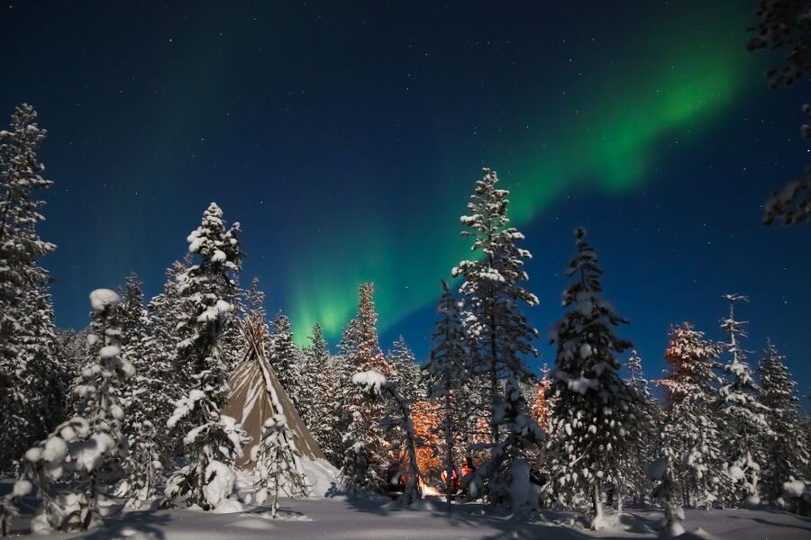 Rovaniemi: Aurora Borealis and Picnic - Key points at a glance