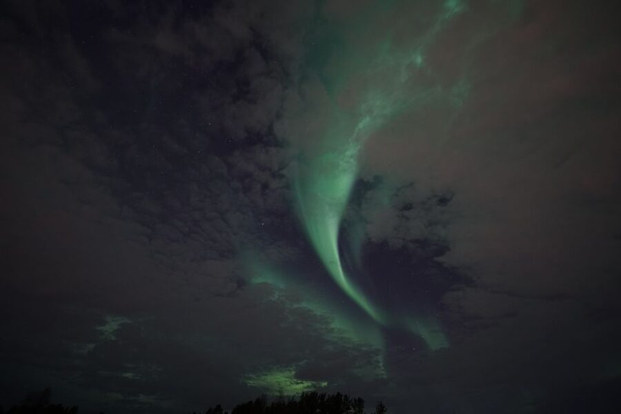 Rovaniemi: Aurora Borealis Tour - The biggest limitation: nature is in charge