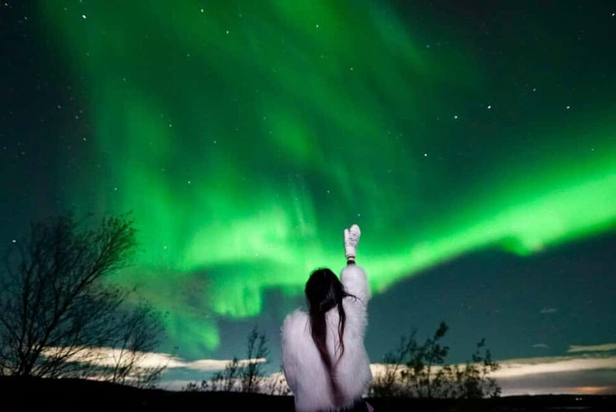 Rovaniemi Aurora Fire & Flavour — Arctic Gastronomy Tour - Leaving Rovaniemi for Two Northern Lights Stops
