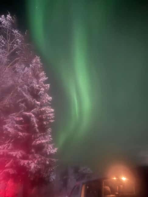 Rovaniemi Aurora Fire & Flavour — Arctic Gastronomy Tour - Should You Book Aurora Fire & Flavour?