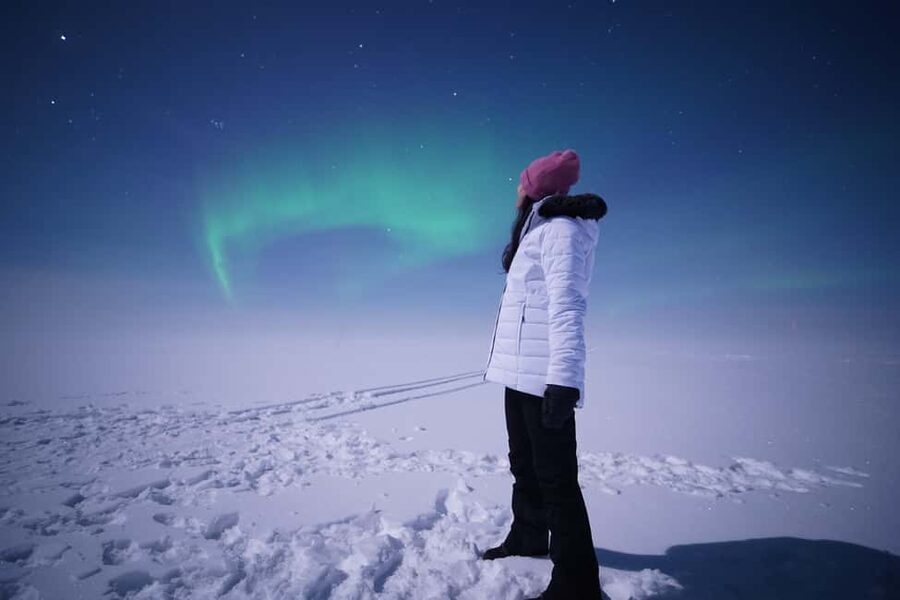 Rovaniemi: Aurora Hunt - Free Photos, 100% Guaranteed Refund - Price and value at $105