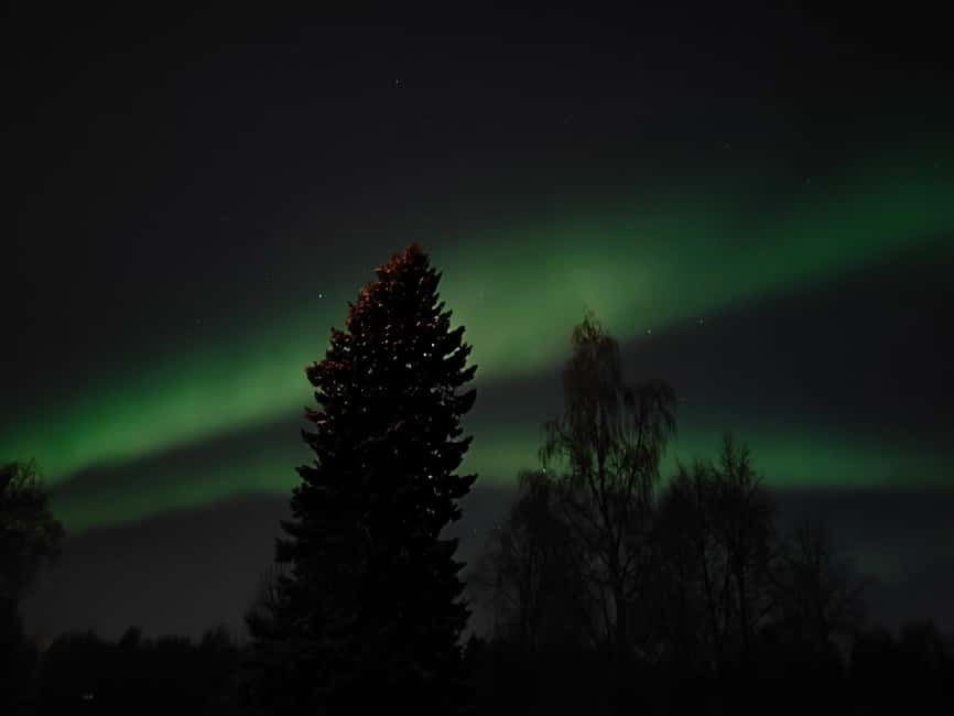Rovaniemi: Aurora Hunt Snowshoeing Adventure with Guide - What the evening feels like from start to finish