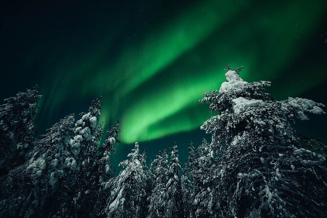 Rovaniemi: Aurora Hunt with Photograph & money back guarantee - The route changes, and that is the point