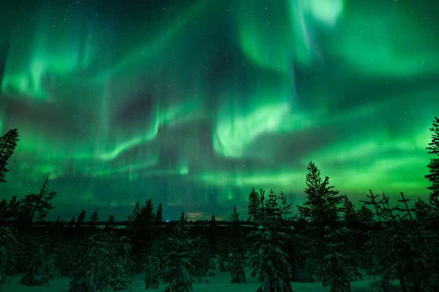 Rovaniemi: Best & Original Aurora Experience with Pro Photos - Who should book this experience?