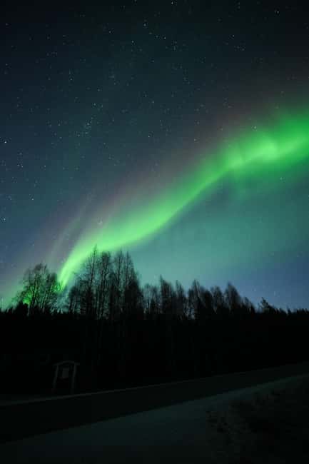 Rovaniemi: Coffee under Northern Lights & Professional Photo - Professional photos within 24 hours