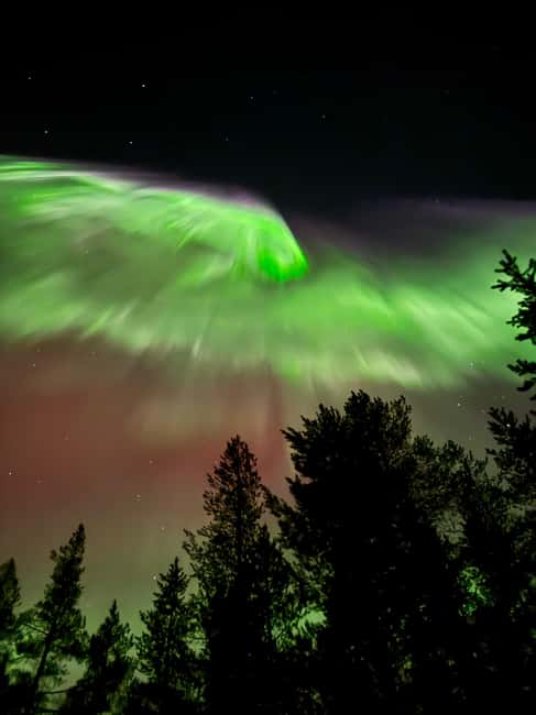Rovaniemi: Coffee under Northern Lights & Professional Photo - How the $116 price works out