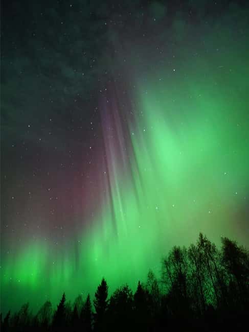 Rovaniemi: Family-Friendly Northern Lights Tour - A useful introduction to aurora photography