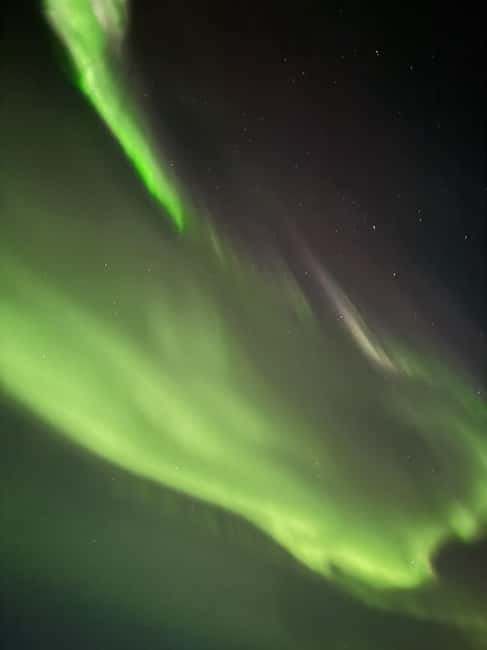 Rovaniemi: Family-Friendly Northern Lights Tour - Booking details worth checking