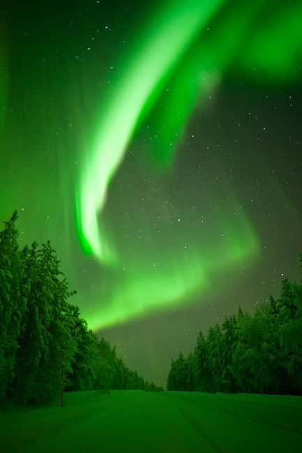 Rovaniemi: Guaranteed Aurora Borealis Photography Tour - Professional photos let you put the phone away