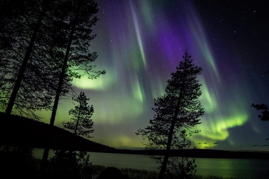 Rovaniemi: Guaranteed Aurora Hunting Tour with Local Guide - The $159 price and what you are really paying for