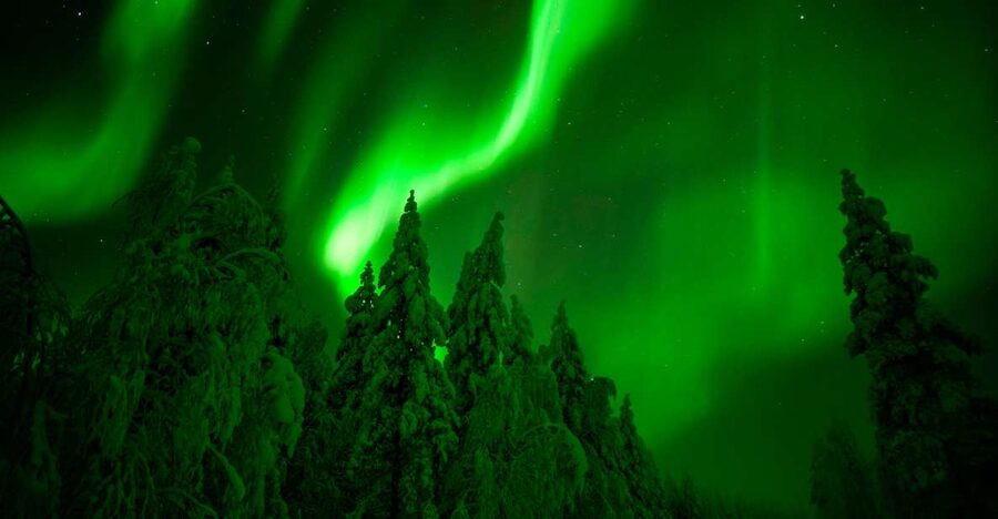 Rovaniemi: Guaranteed Northern Lights Hunting Adventure - Key points to know before booking