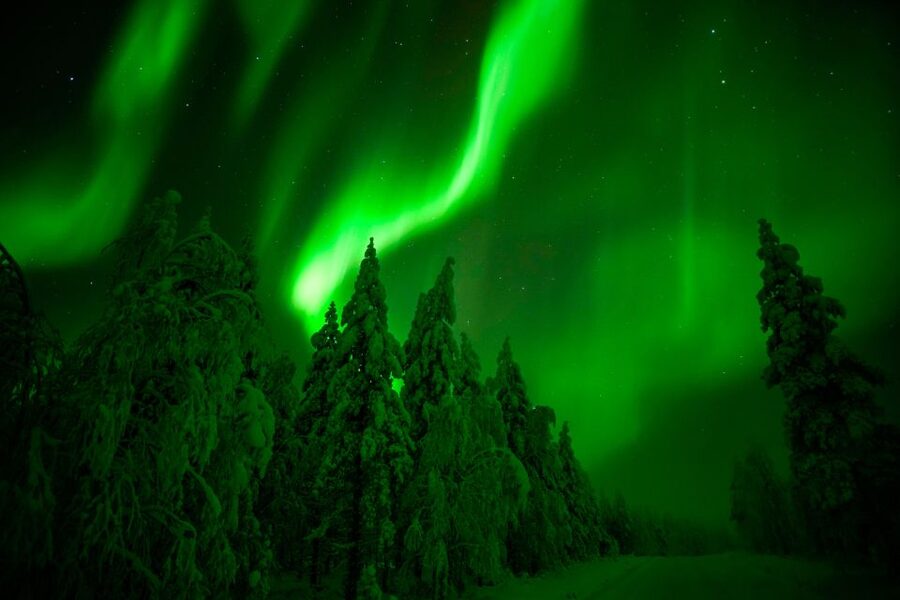Rovaniemi: Guaranteed Northern Lights Hunting Adventure - Warm stops, light snacks, and limited comfort