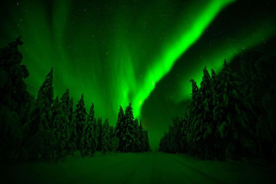 Rovaniemi: Guaranteed Northern Lights Hunting Adventure - The camera service is a real advantage