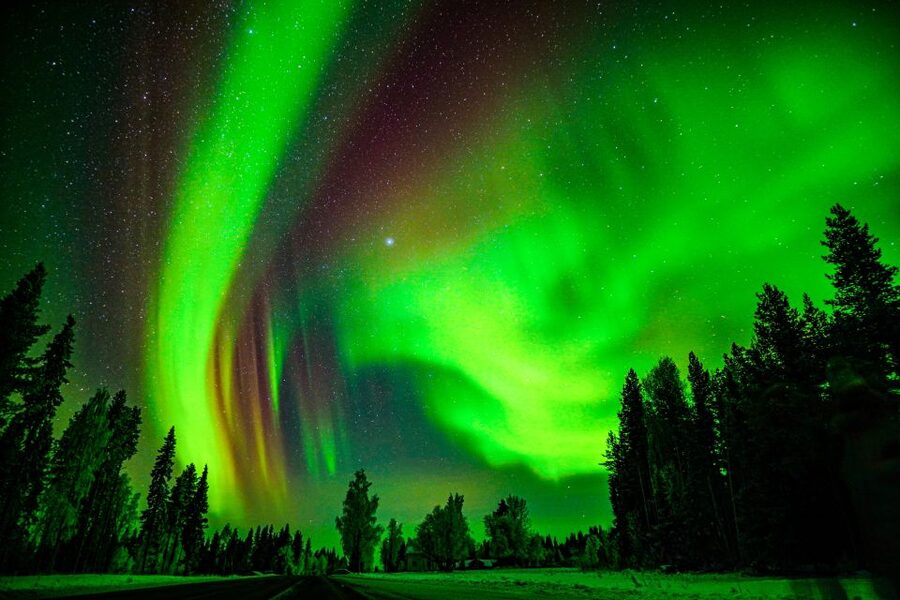 Rovaniemi: Guaranteed Northern Lights Hunting Adventure - The best time to place this tour in your itinerary