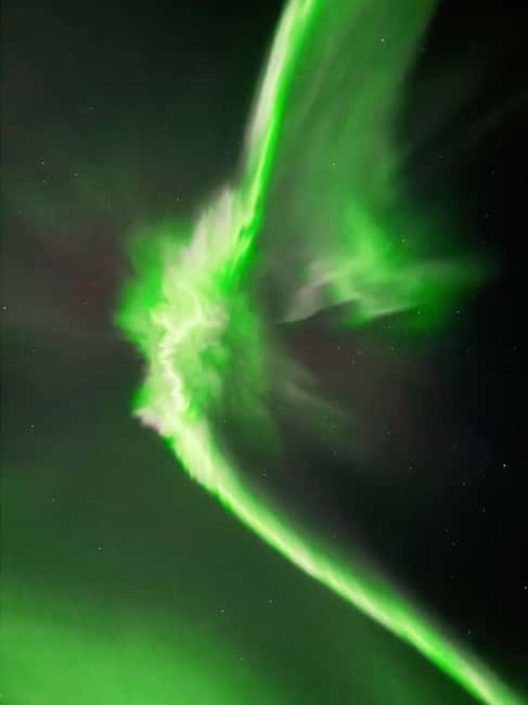 Rovaniemi: Guaranteed Northern Lights & Photography Tour - What happens when the Aurora appears