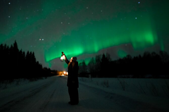 Rovaniemi: Guaranteed Northern Lights - Small Group & Photography - Why the small-group format matters in Rovaniemi