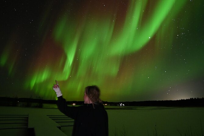 Rovaniemi: Guaranteed Northern Lights - Small Group & Photography - What the Northern Lights may look like in person
