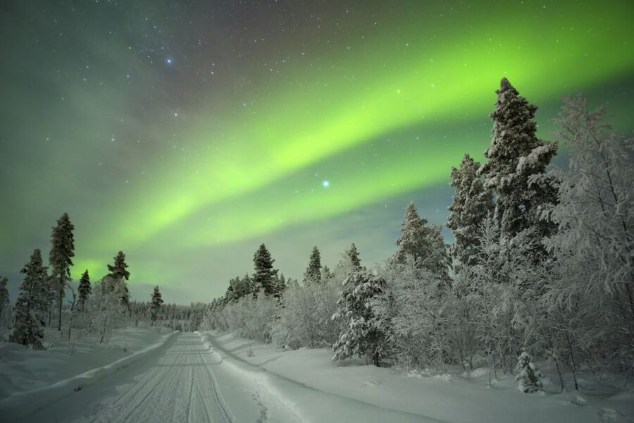 Rovaniemi: Guided Northern Lights Tour - What happens after pickup
