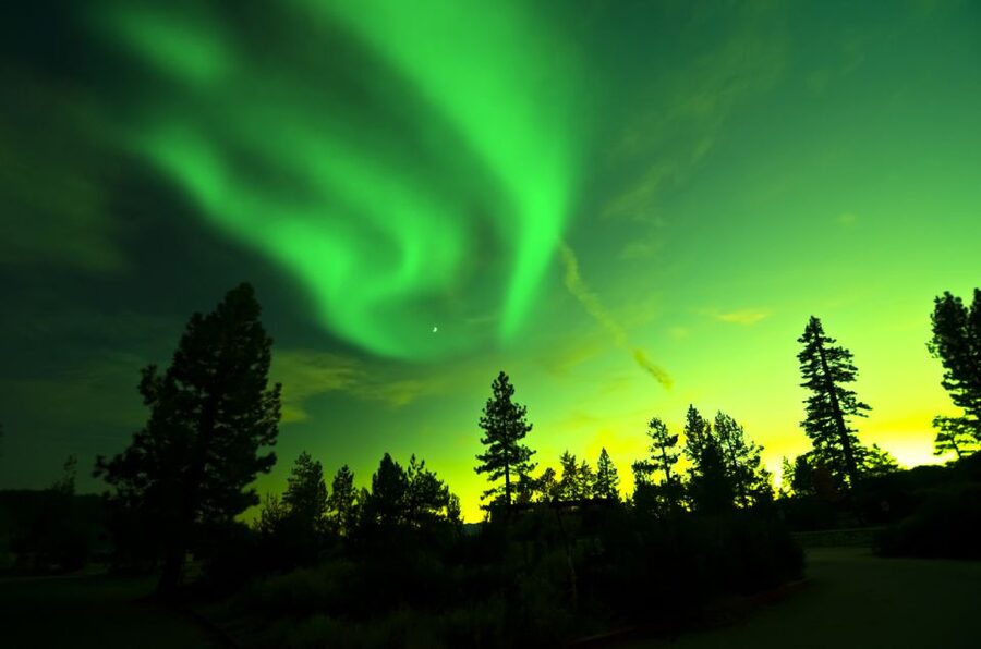 Rovaniemi: Guided Northern Lights Tour - Who should book this outing?