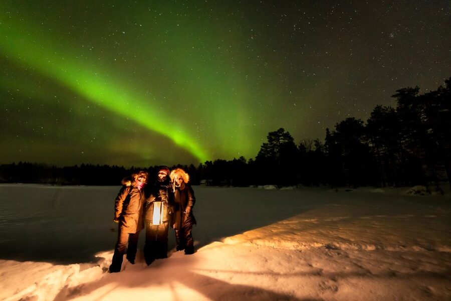 Rovaniemi: Guided Northern Lights Tour - Practical details before you reserve